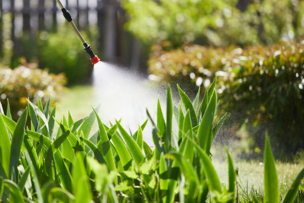 Tamper-Resistant Bait Stations for Rodents in Benson